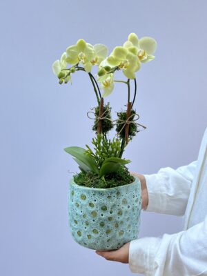 Flores online 1