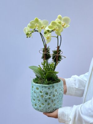 Flores online 1 scaled