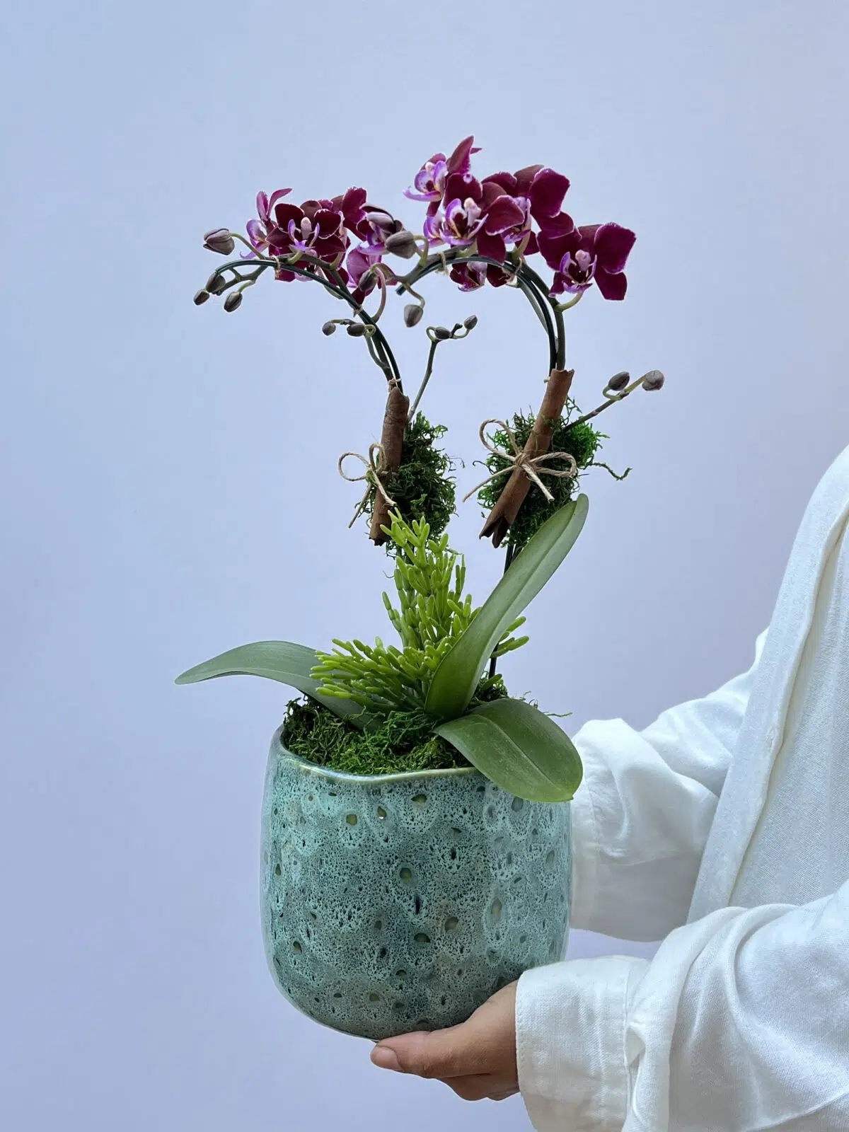 Jacques - Arranjo de Mini Orquídeas Phalaenopsis Pink - Imagem 1
