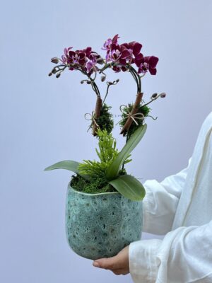 delivery de flores scaled