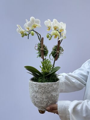 floricultura em porto alegre 2