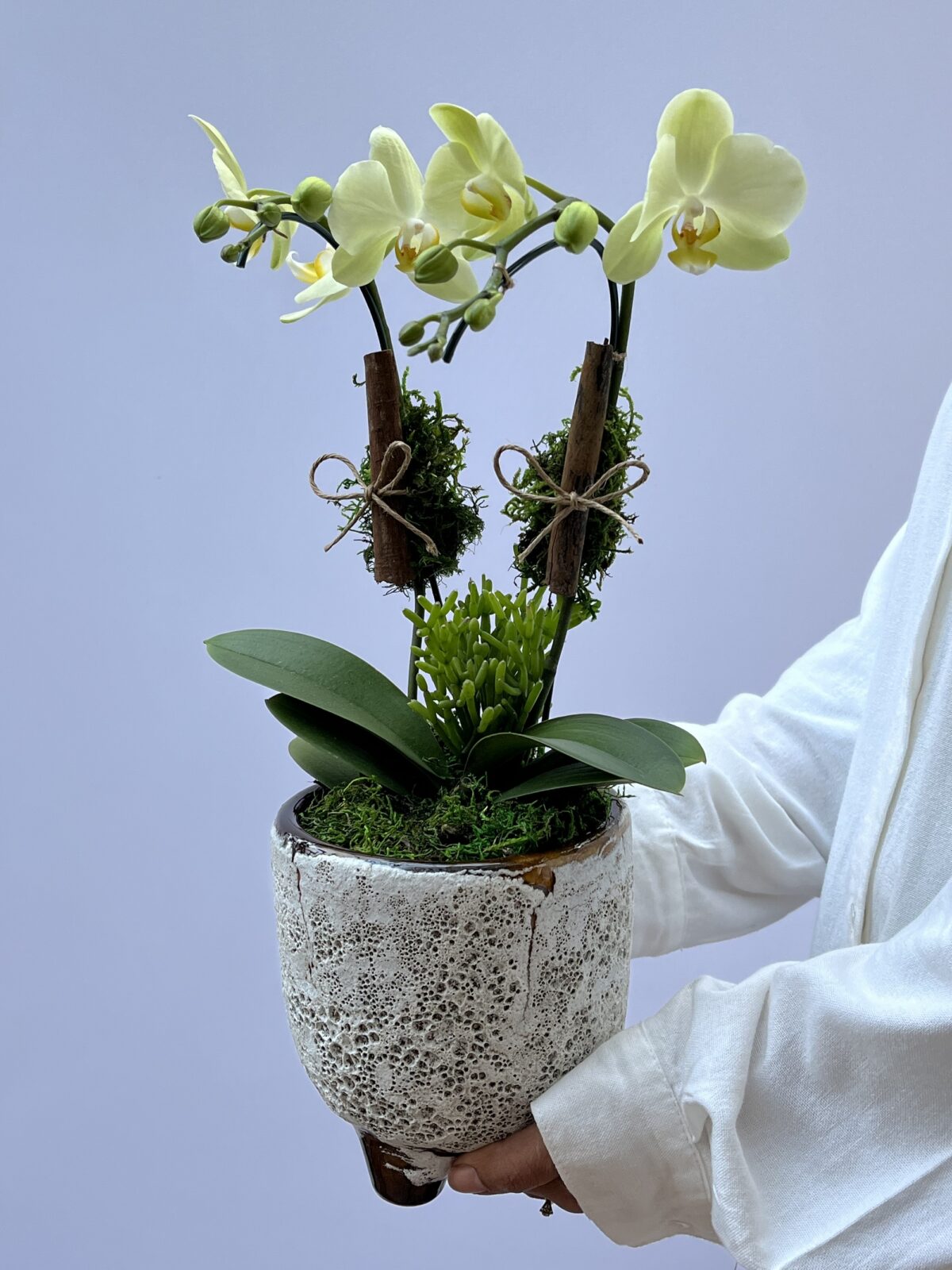 floricultura online 1 scaled