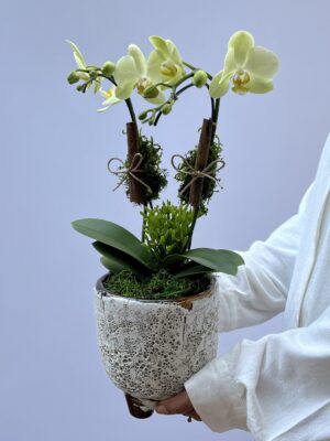 floricultura online 1