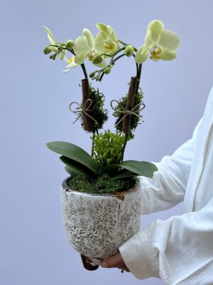 floricultura online 1 scaled