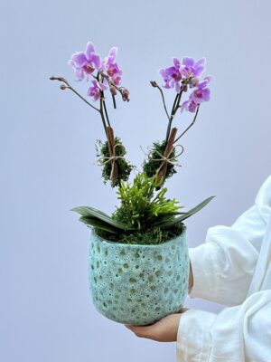 floricultura perto de mim
