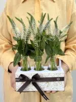 Torre Agbar - Box de Verônicas Brancas