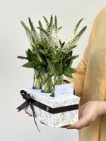 Torre Agbar - Box de Verônicas Brancas - Imagem 2