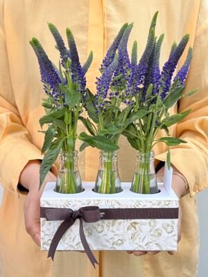 Arquiteturadas flores flores online floricultura online scaled