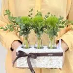 Machu Picchu - Box de Green Ball