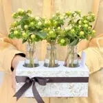 Golden Gate - Box de Hypericuns Brancos