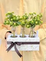 Golden Gate - Box de Hypericuns Brancos