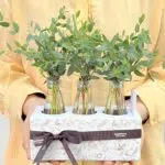 Big Ben - Box de Mini Eucaliptos