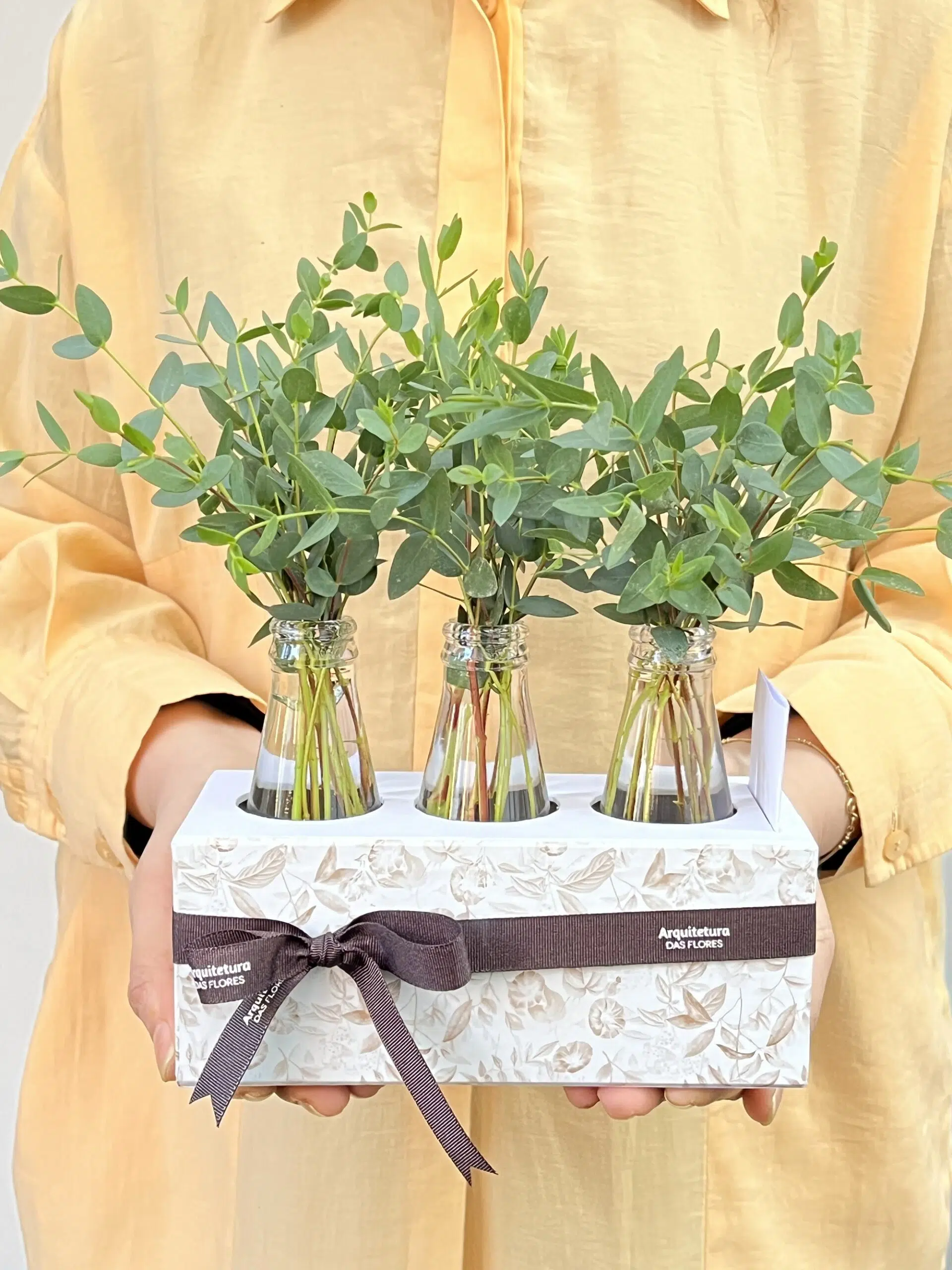 Flores online, floricultura online ,floricultura on-line Big Ben - Box de Mini Eucaliptos - Imagem 1