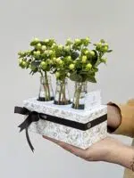 Golden Gate - Box de Hypericuns Brancos - Imagem 3