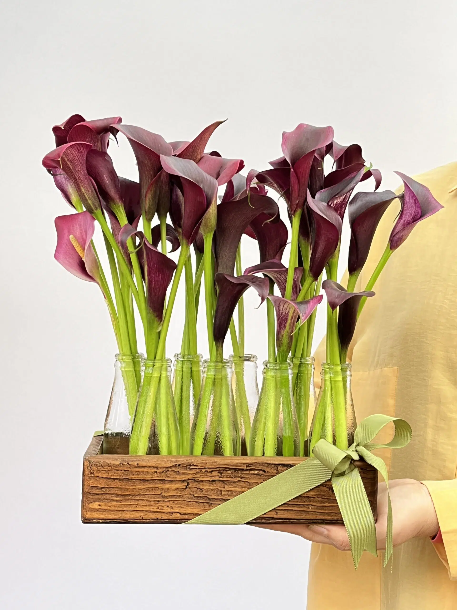 Flores Online Miramare - Arranjo de Callas Bordô - Imagem 1