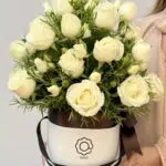 Coliseu - Box com Rosas e Mini Rosas