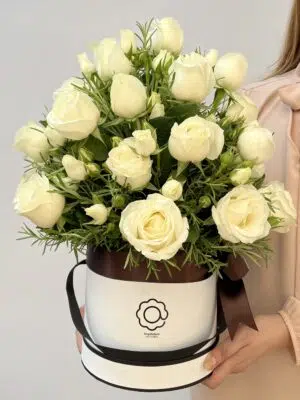 Coliseu - Box com Rosas e Mini Rosas
