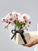 Orchid Season - Box de Mini Orquídeas Phalaenopsis - Imagem 2