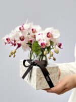 Orchid Season - Box de Mini Orquídeas Phalaenopsis - Imagem 2