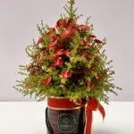 So, It´s Christmas - Box de Mini Antúrios Vermelhos