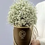 Chuva de Prata - Box de Gypsophilas