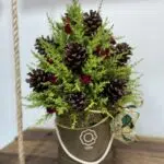 Natalino - Arranjo de Tuia limão e Pinha