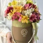 Napoli - Box  Média de Flores de Astromelias