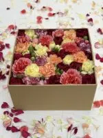 Meules - Box de Cravinas Coloridas - Imagem 2
