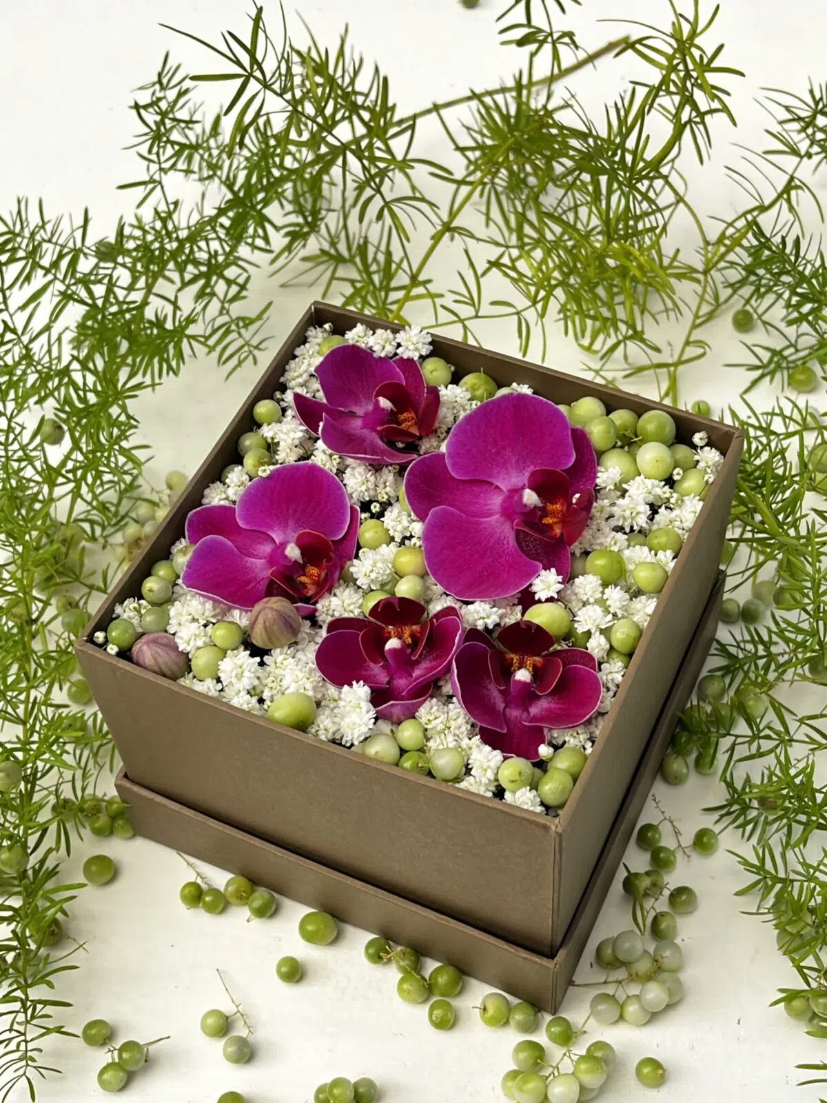 Sinfonia n.º 5 - Box de Mini Orquídea Phalaenópsis Pink - Imagem 1