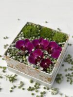 Vernissage - Box Exclusiva de Orquideas - Imagem 2