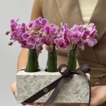 Lady Rose - Arranjo de Mini Orquideas