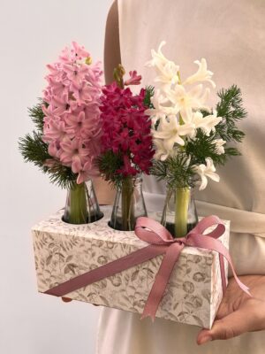 Sopro Flaral - Box de Hyacinthus