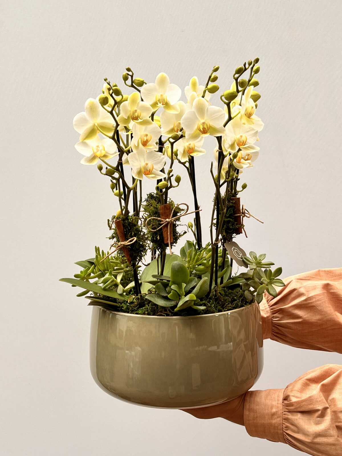 Arts e Crafts - Arranjo de Mini Orquídeas Phalaenópsis - Imagem 1