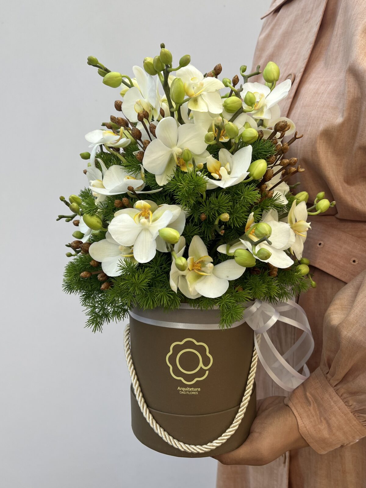 Éter - Box de Mini Orquídeas Phalaenópsis - Imagem 1