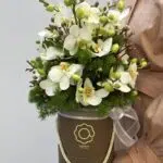 Éter - Box de Mini Orquídeas Phalaenópsis