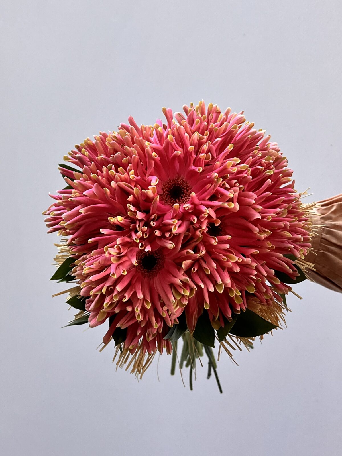Vitalis - Buquê de Gérberas Cor-de-Rosa - Imagem 2