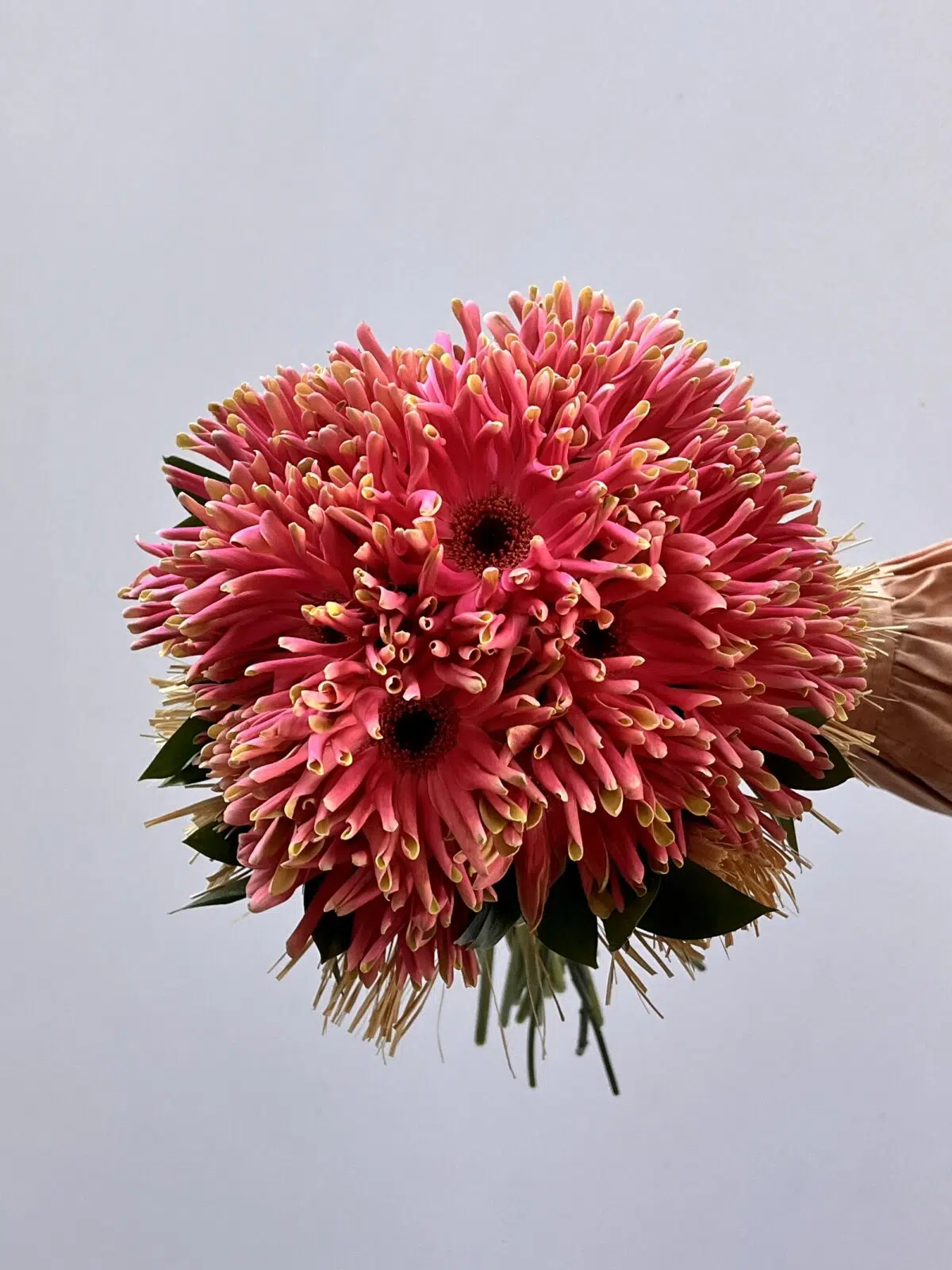 Vitalis - Buquê de Gérberas Cor-de-Rosa - Imagem 2