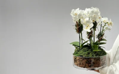 Design Floral com Inspiração Artística e Arquitetônica