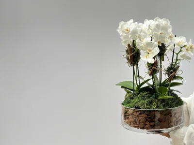 Design Floral com Inspiração Artística e Arquitetônica