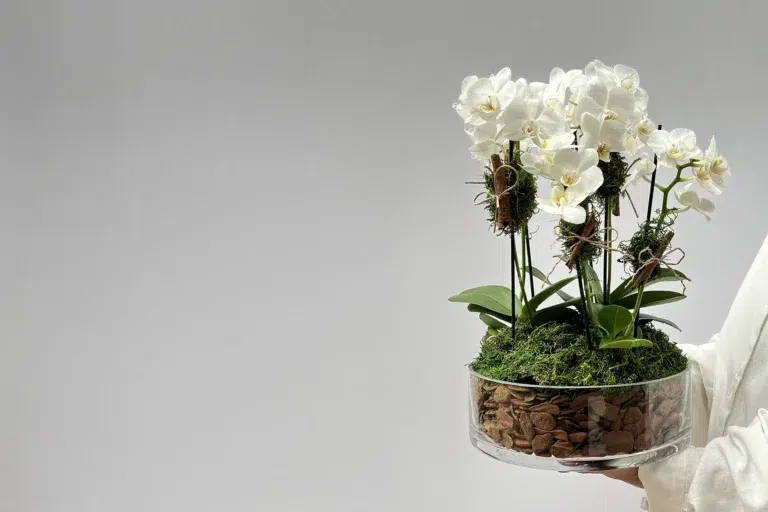 Design Floral com Inspiração Artística e Arquitetônica