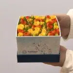 Pompidou - Box de Mini Rosas Amarelas e Laranjas