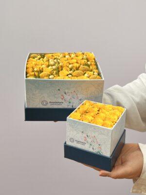 Moulin Jaune - Duas Box de Mini Rosas