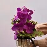 Roses Wine - Espumante com Orquídeas Vanda