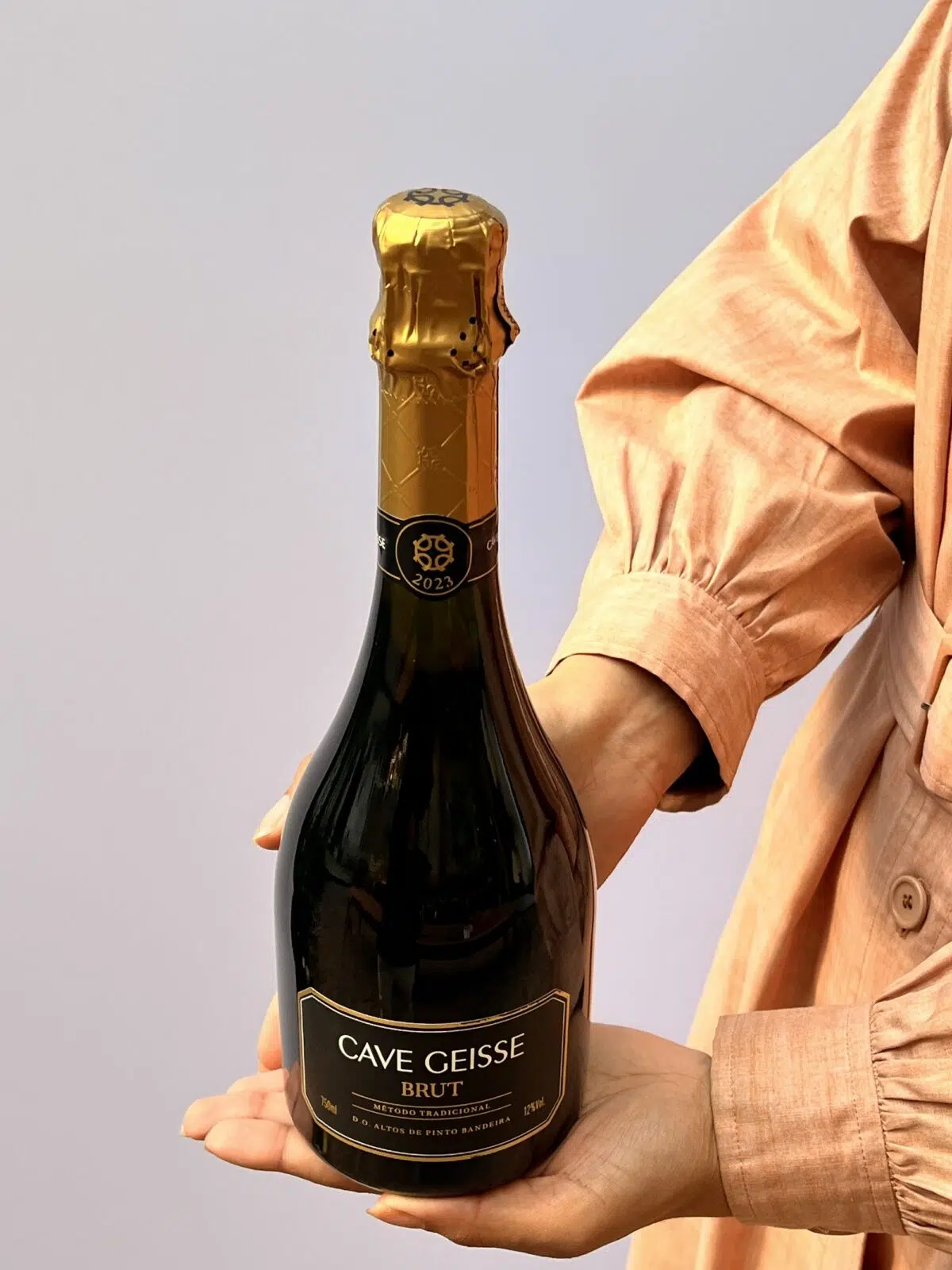 Espumante Cave Geisse Brut - Imagem 1