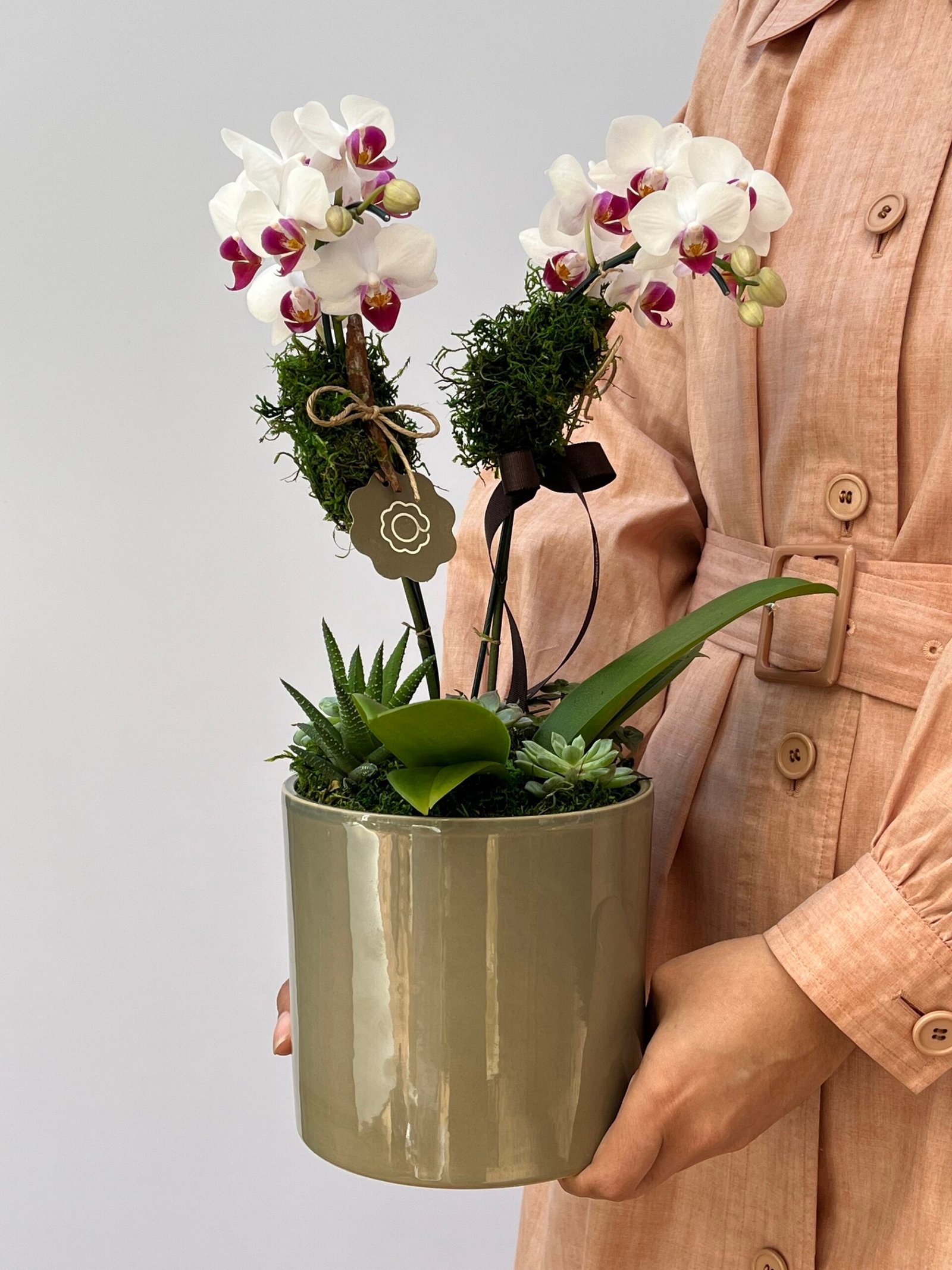 IMG_6718 Rosella - Mini Orquídeas Phalaenopsis - Imagem 1