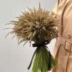 Lilo - Buquê de Capim Ares