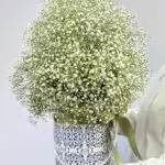 Whispering Clouds - Box de Gypsophilas