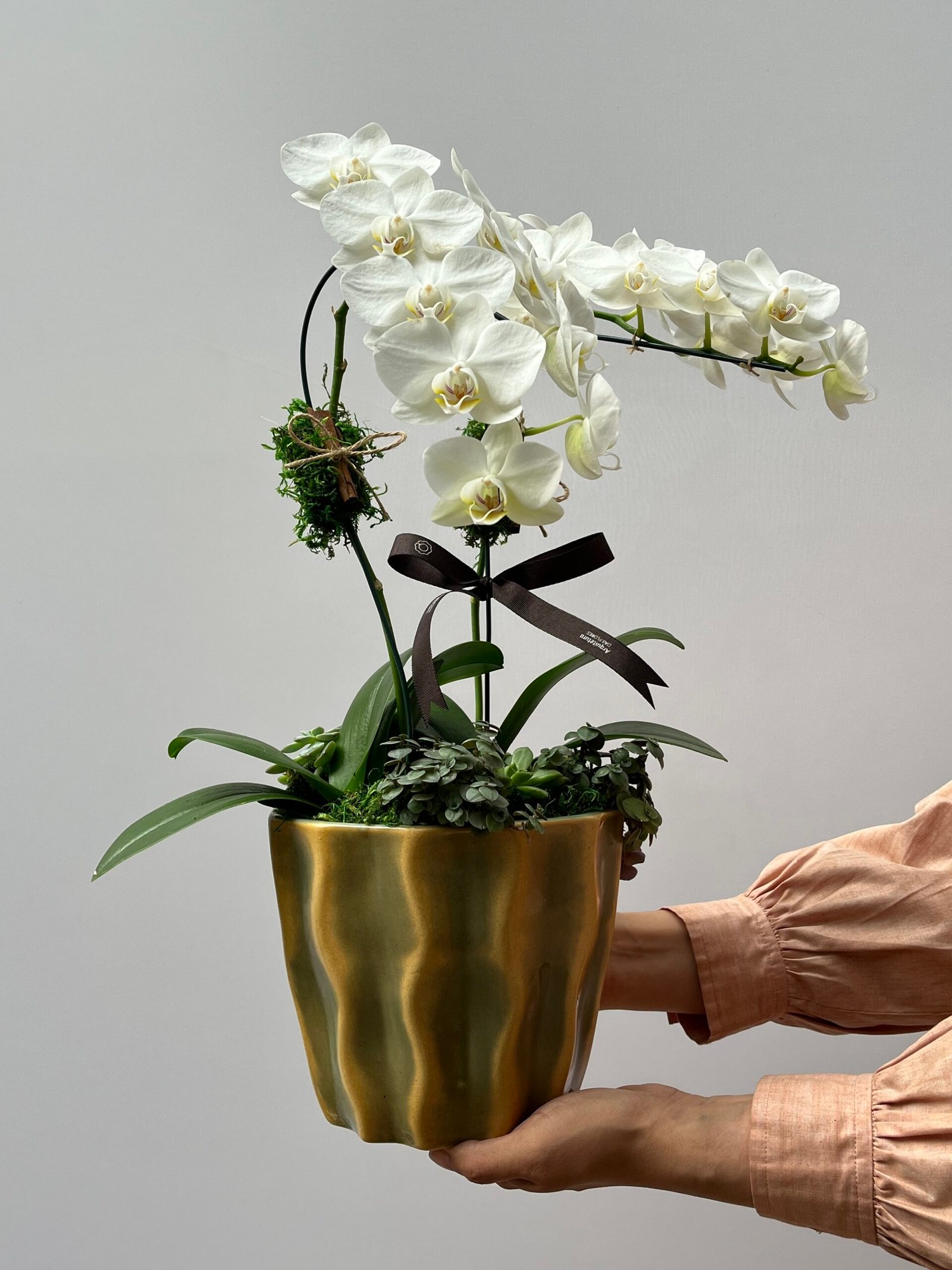 IMG_8393 St. Moritz - Mini Orquídeas Phalaenópsis Cascata - Imagem 1