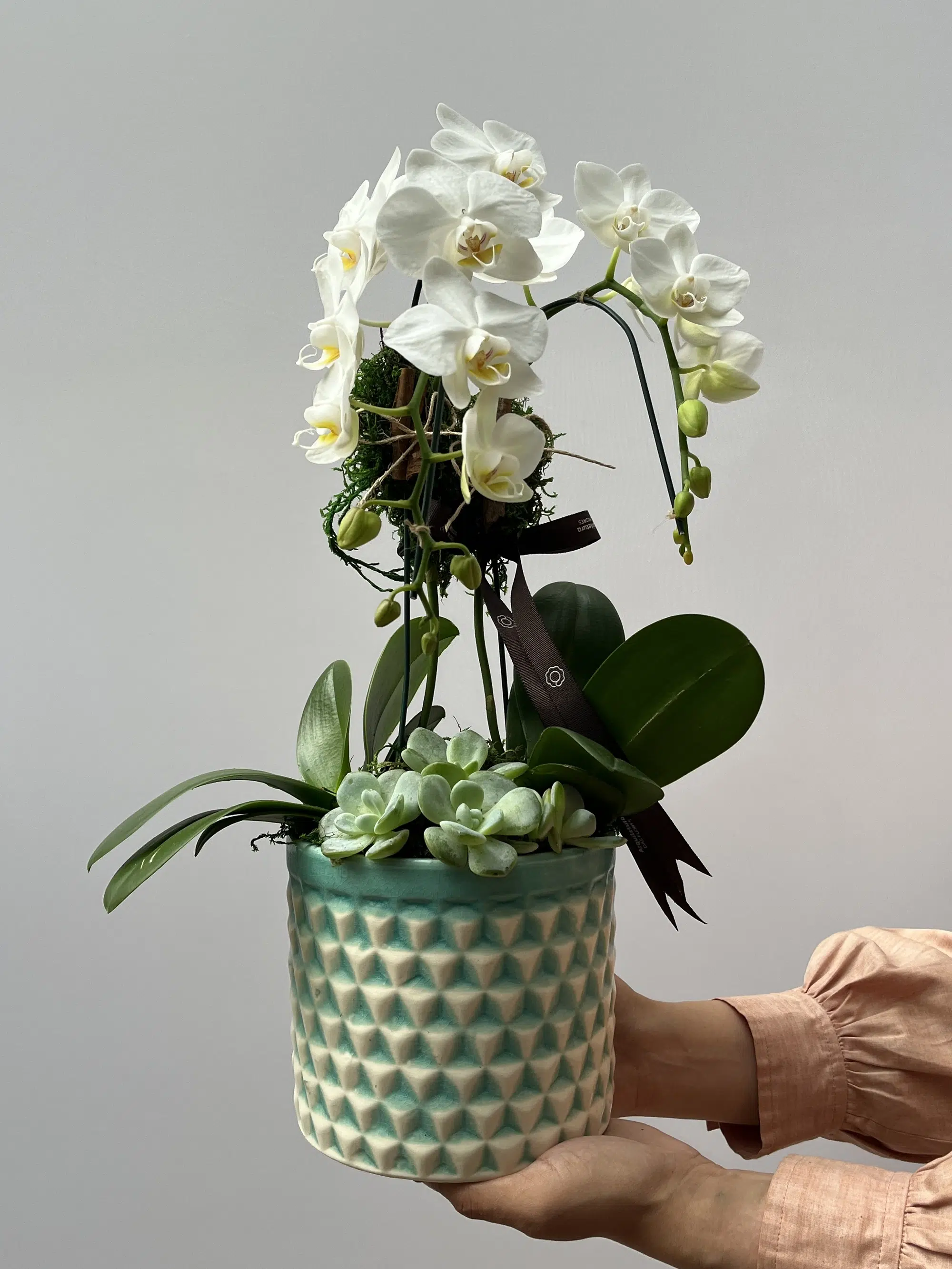 IMG_8395 Ravello - Mini Orquídeas Cascata - Imagem 1