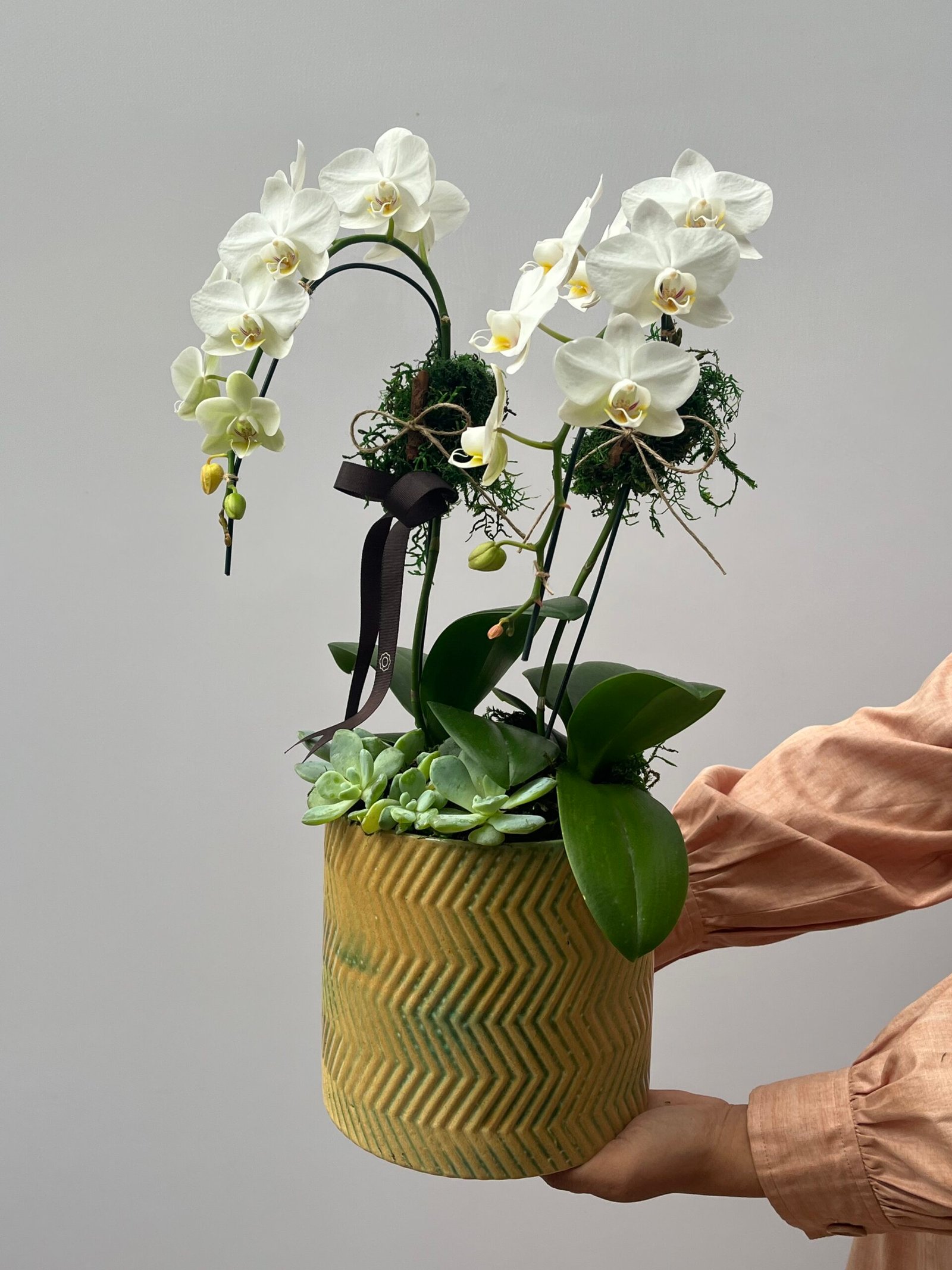 IMG_8434 Palazzo - Mini Orquídeas Cascata - Imagem 1